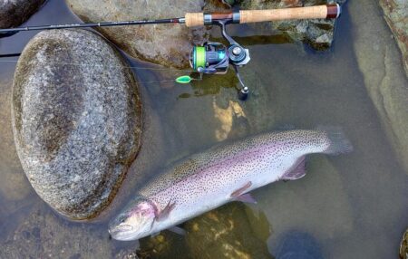 ばらしてばかり ～天竜川ルアーフライテンカラ専用区～